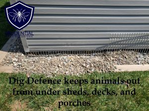 how to keep animals out from under your shed and deck