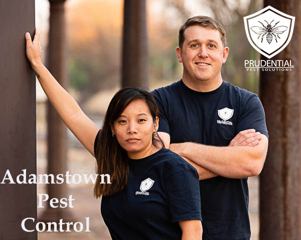 Adamstown Pest Control
