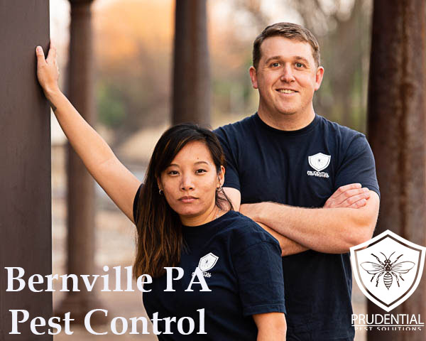 bernville pest control