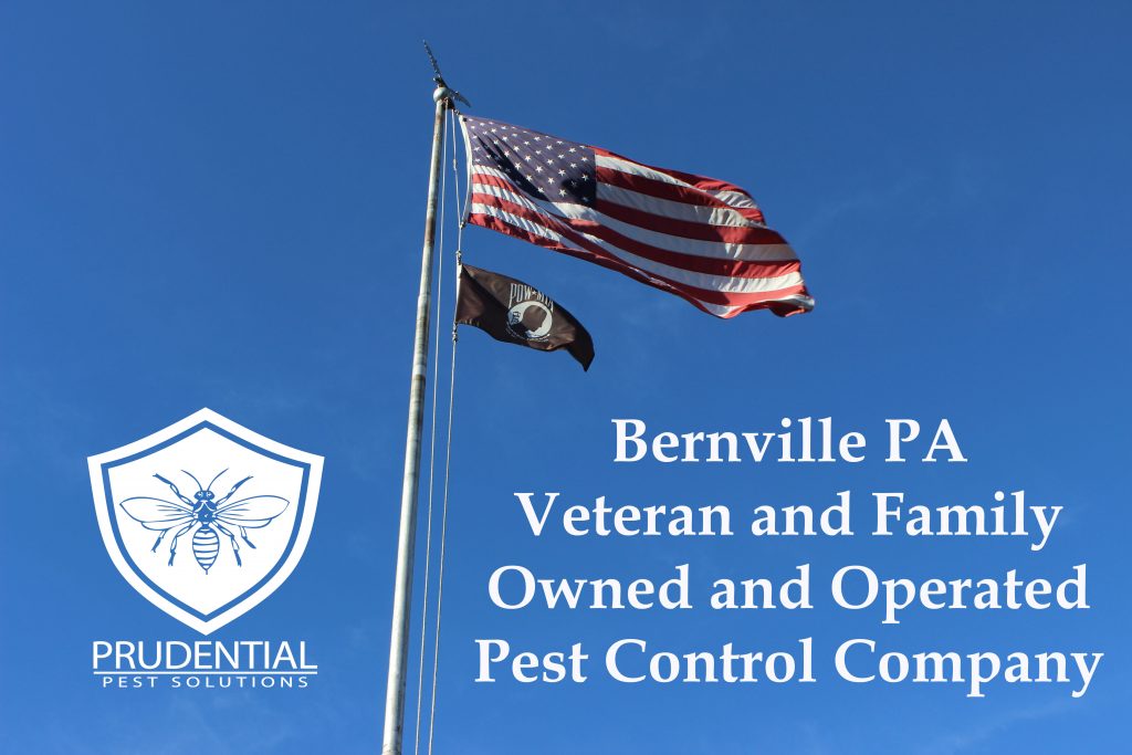 bernville pest control services