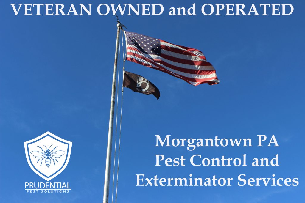 Morgantown PA Exterminator