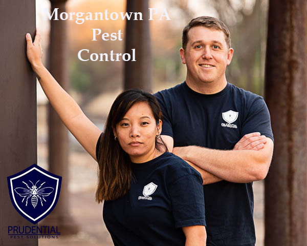 Morgantown PA Pest Control
