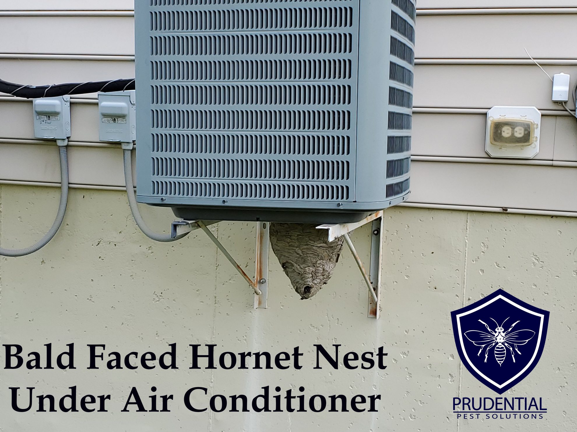 Nest Air Conditioner Prudential Pest Solutions