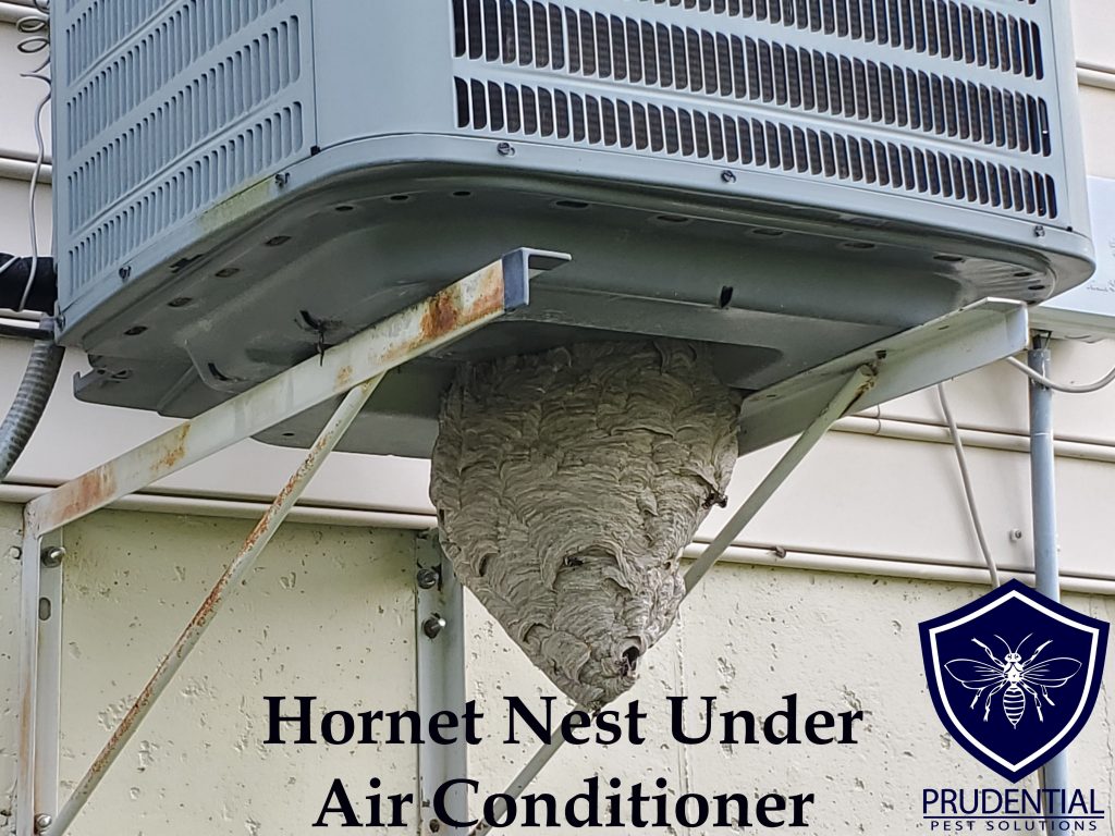 hornet nest air conditioner