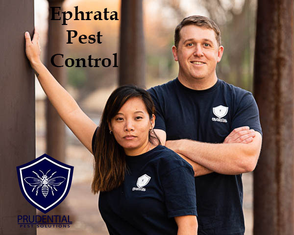 Ephrata PA Pest Control