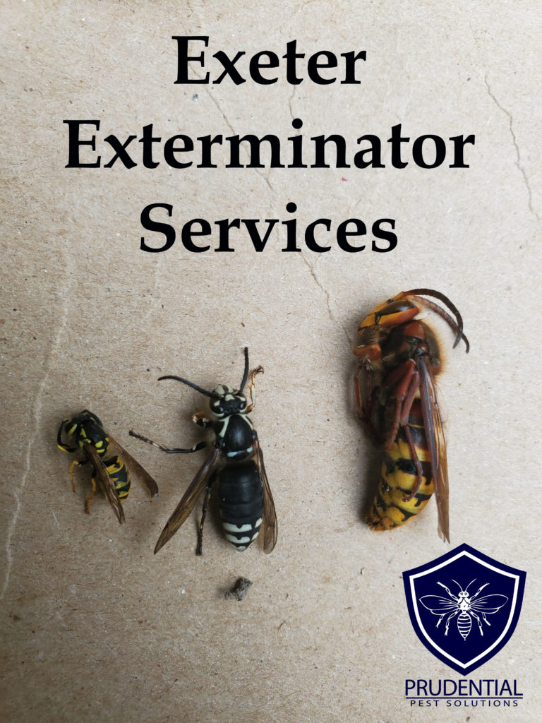 Exeter PA Exterminator Services