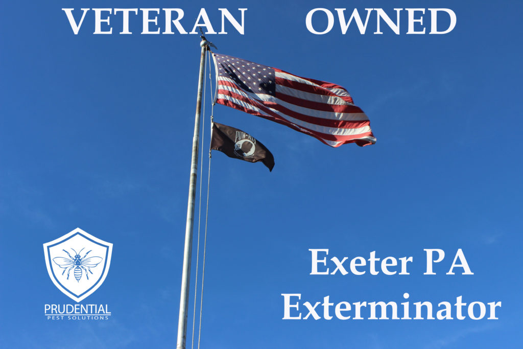 Exeter PA Exterminator