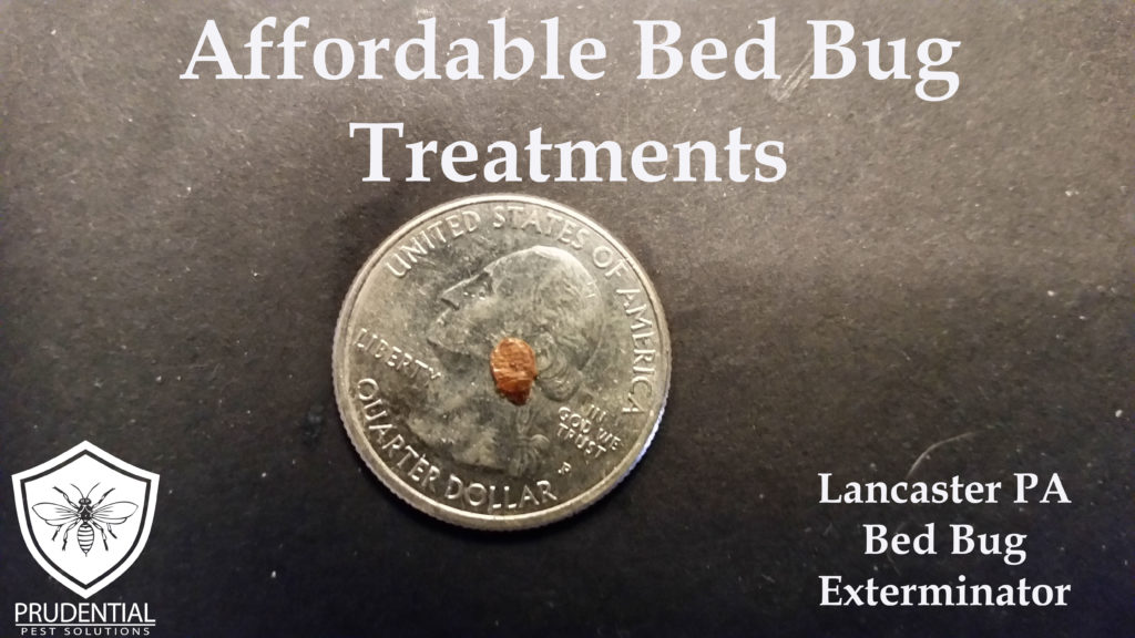 Lancaster Affordable Bed Bug Treatments