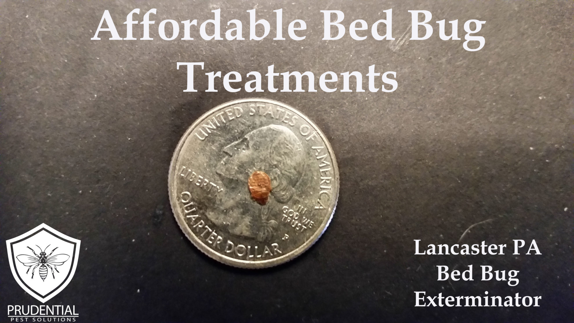 Lancaster Bed Bug Treatments - Prudential Pest Solutions