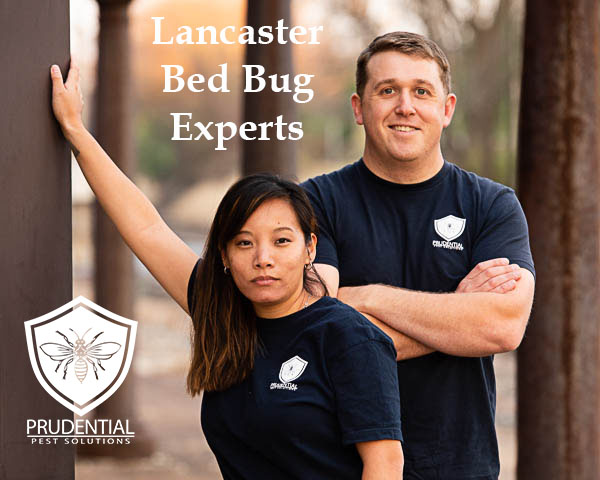 Lancaster Bed Bug Experts