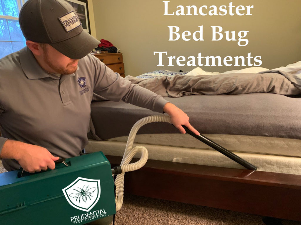 Lancaster Bed Bug Treatments