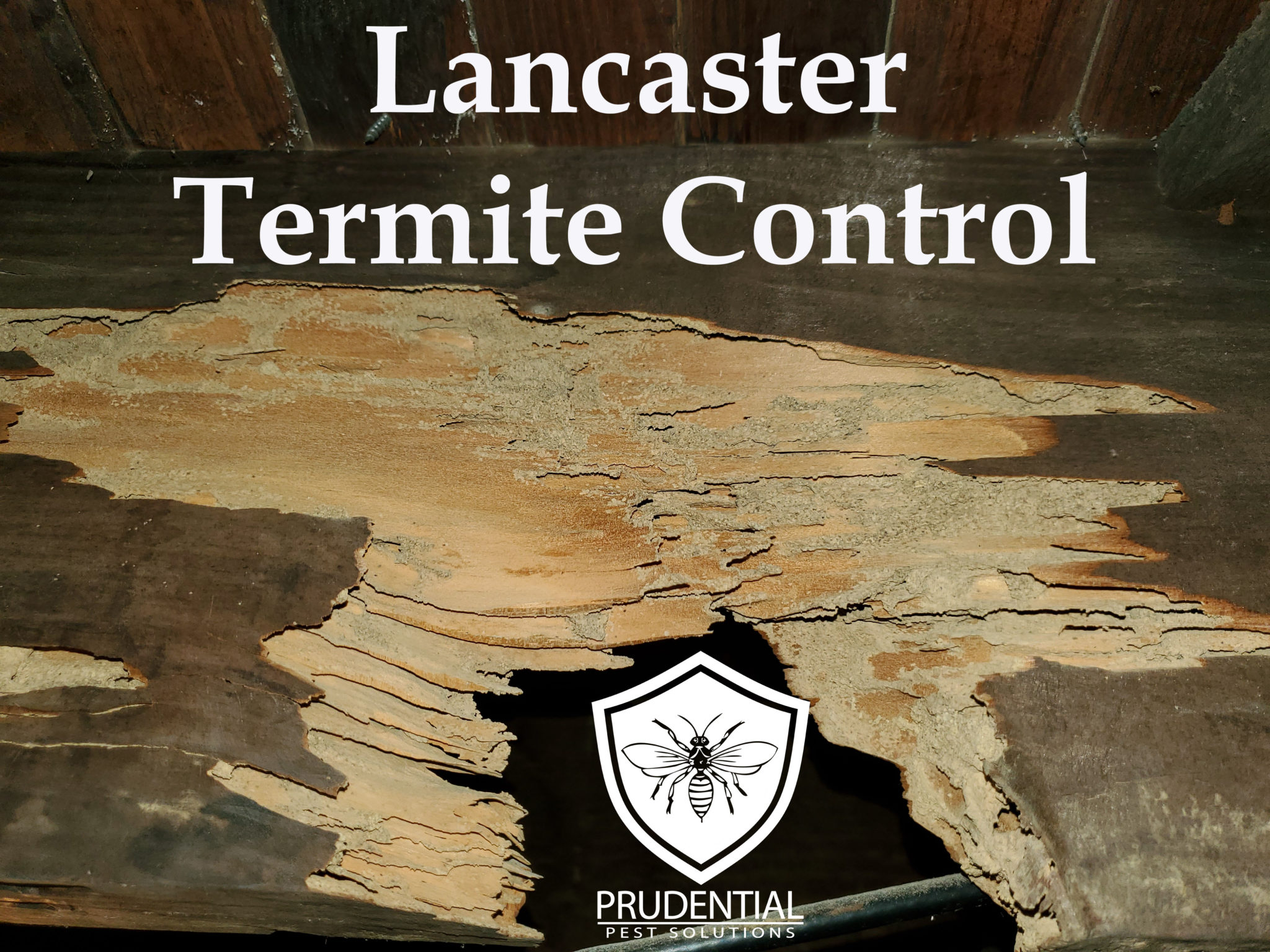 Lancaster Pest Control - Prudential Pest Solutions