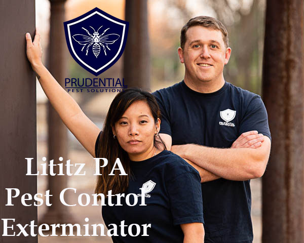 Lititz Pest Control Exterminator