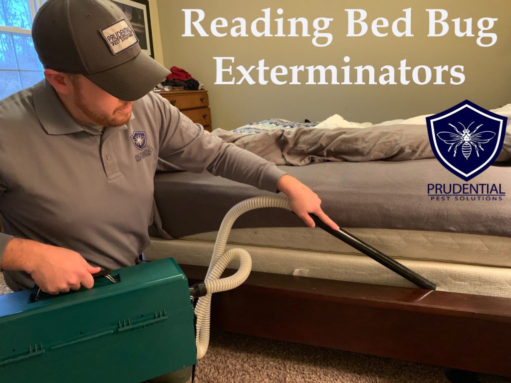 Reading Bed Bug Exterminators