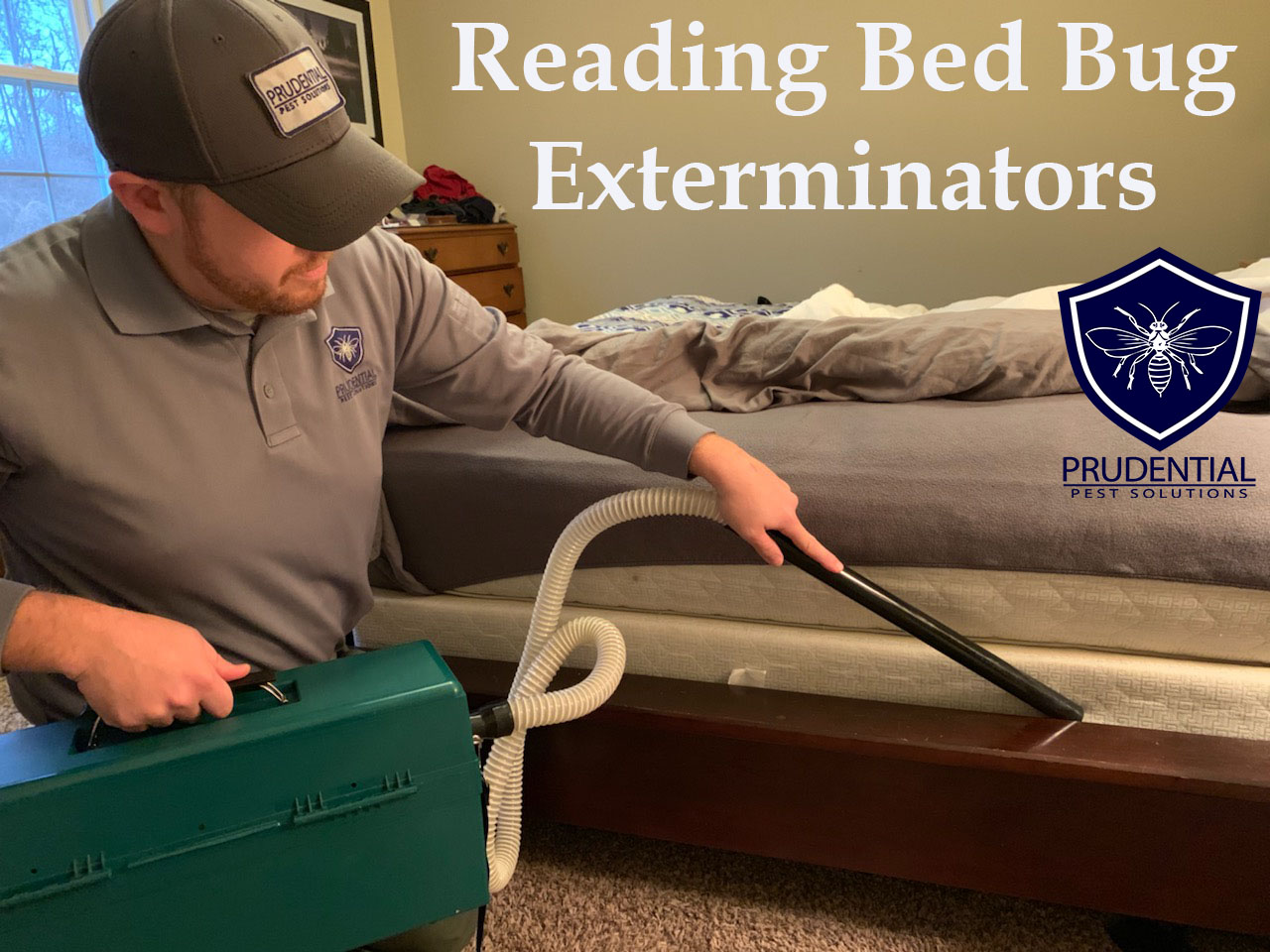 Reading Bed Bug Exterminators