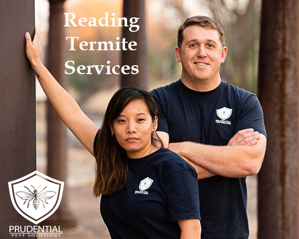 Reading Pa Termite Company Prudential Pest Solutions 3301