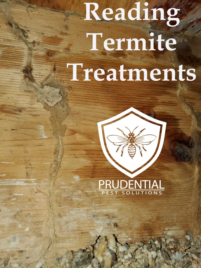 Reading Termite Treatments