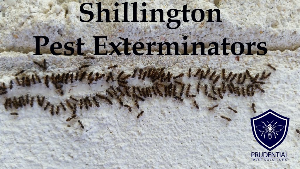 Shillington Pest Exterminators
