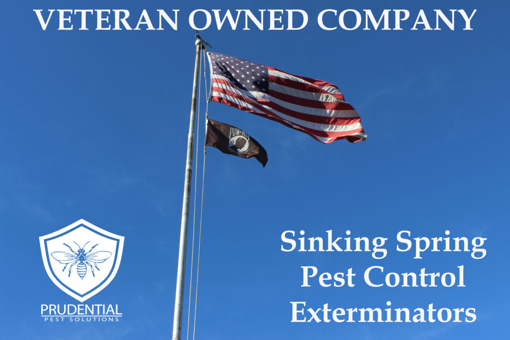 Sinking Spring Pest Control