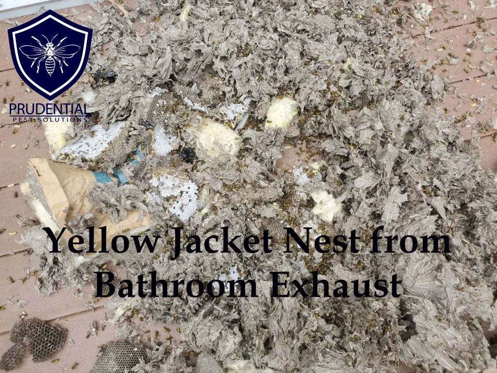 yellow jacket bathroom exhaust