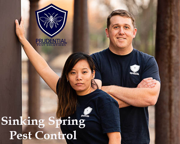 Sinking Spring Pest Control Exterminators