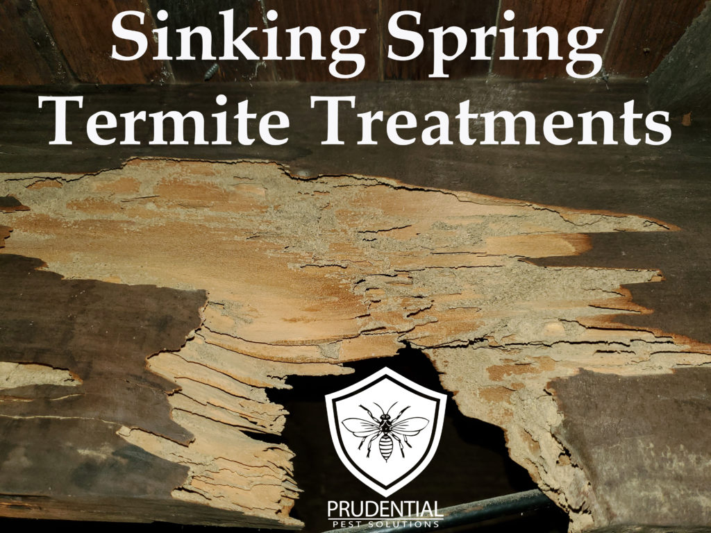 Sinking Spring Termite Treatments