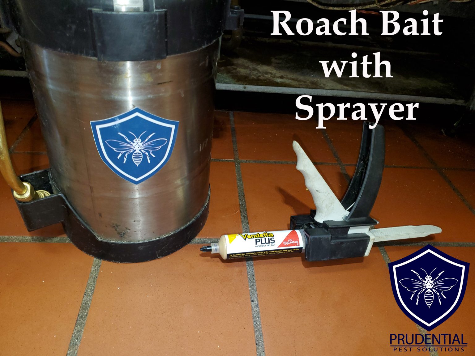 Roach Treatment Reading PA Prudential Pest Solutions