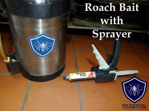 roach bait with sprayer