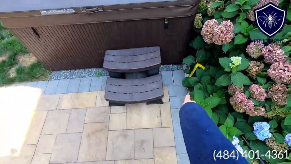 yellow jacket nest under hot tub