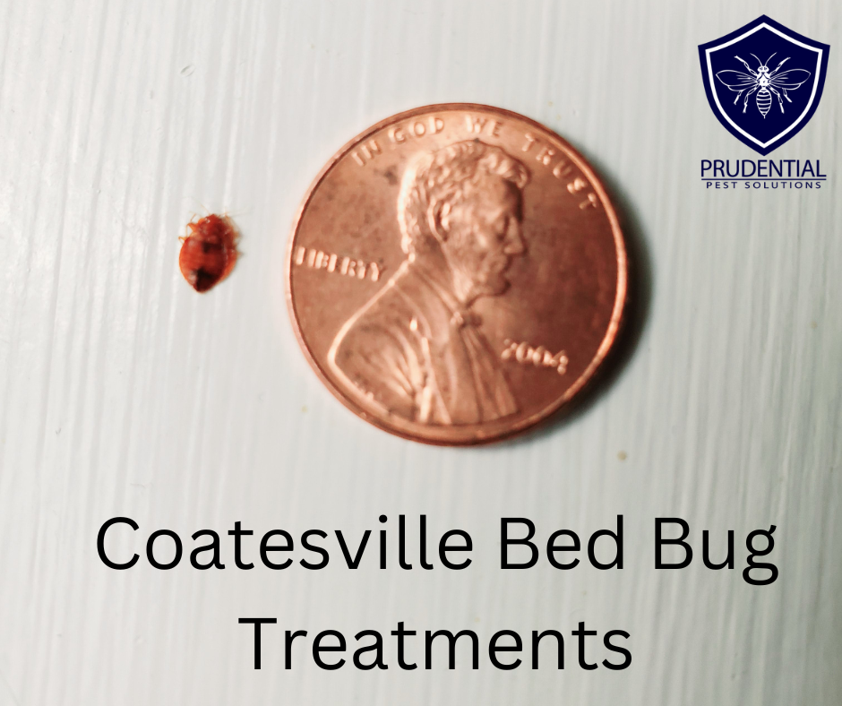 Coatesville Bed Bug Treatments
