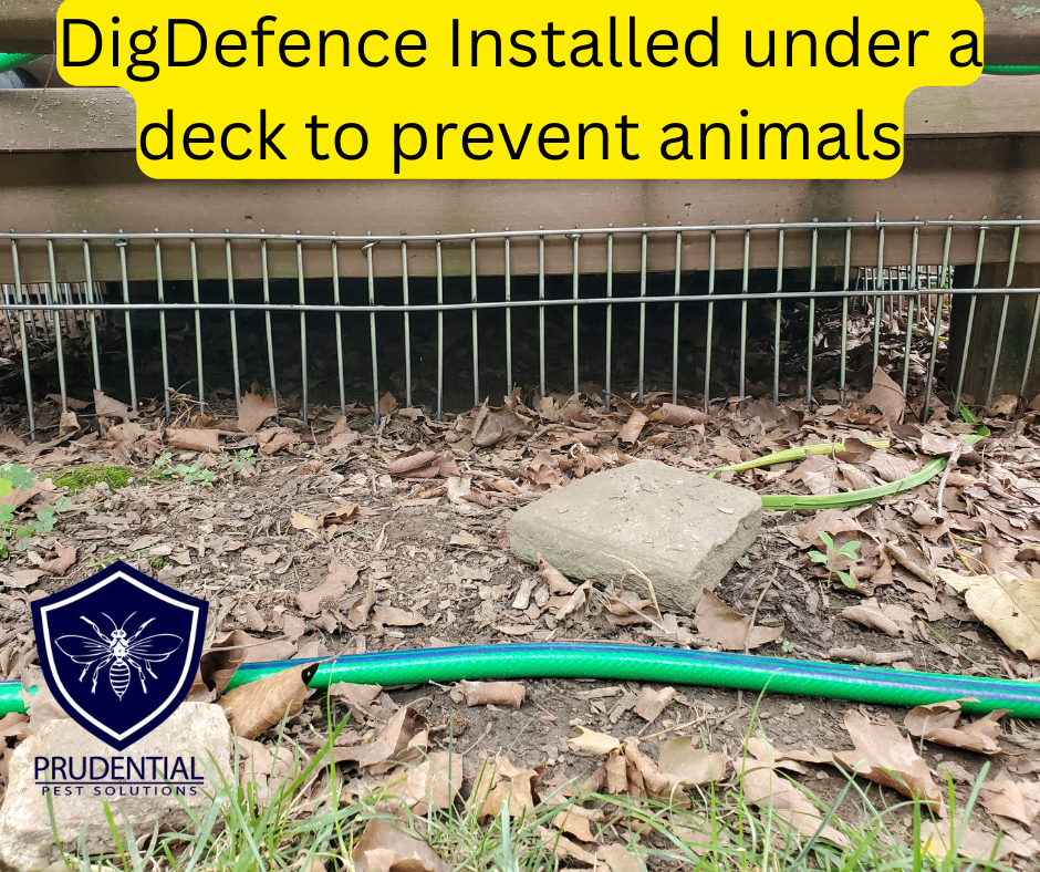 DigDefence Installed under a deck to prevent animals