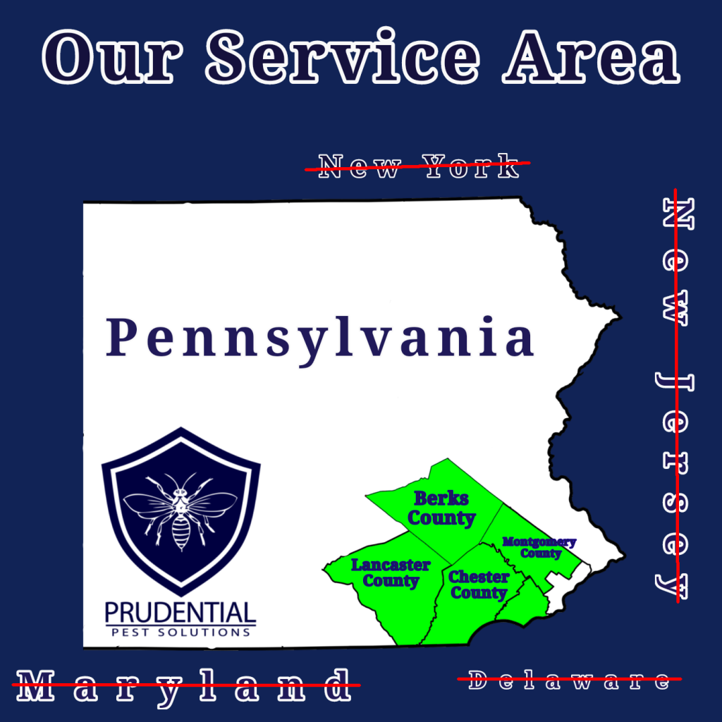 servicing berks and chester counties