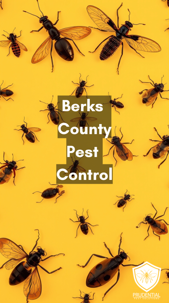 Berks County Pest Control