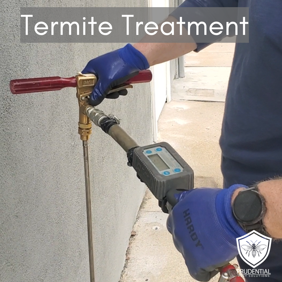 Termite Treatment