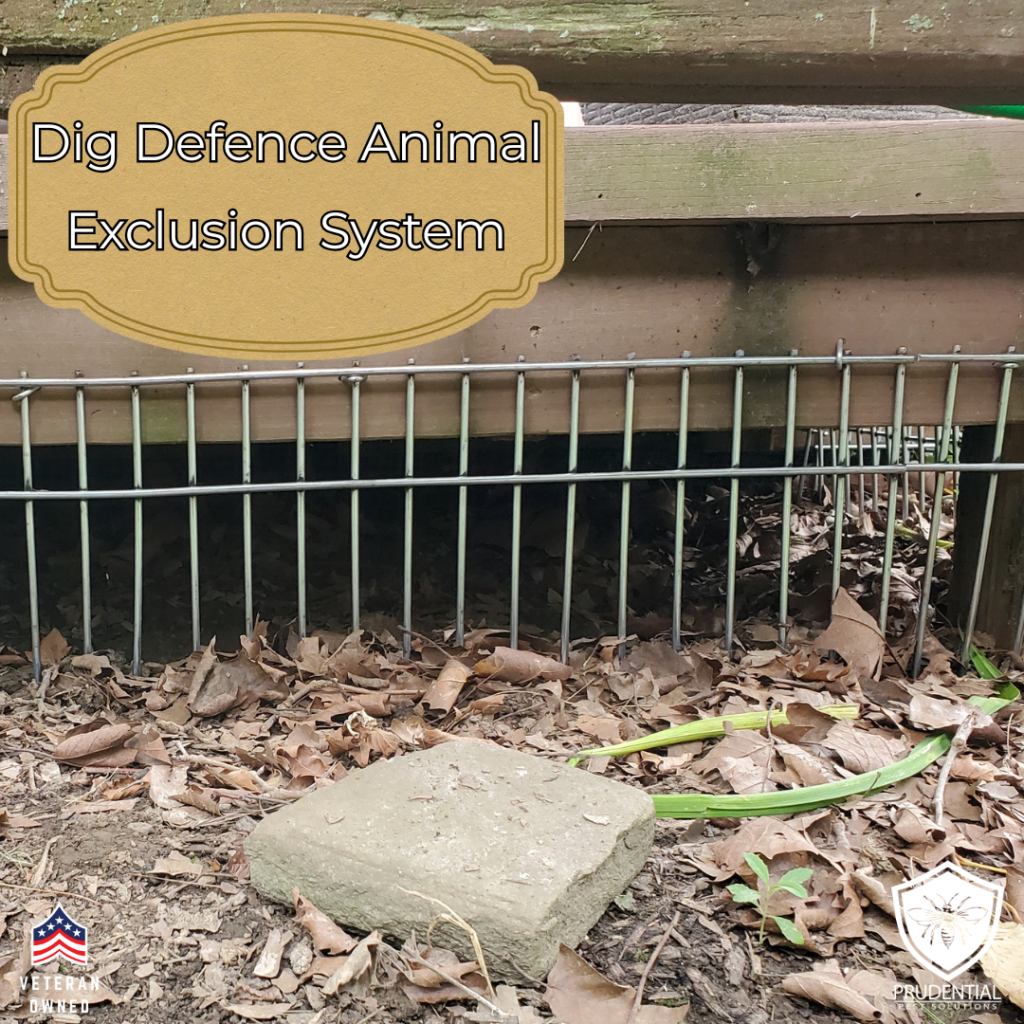dig defense animal prevention fencing installed to prevent animals under a deck