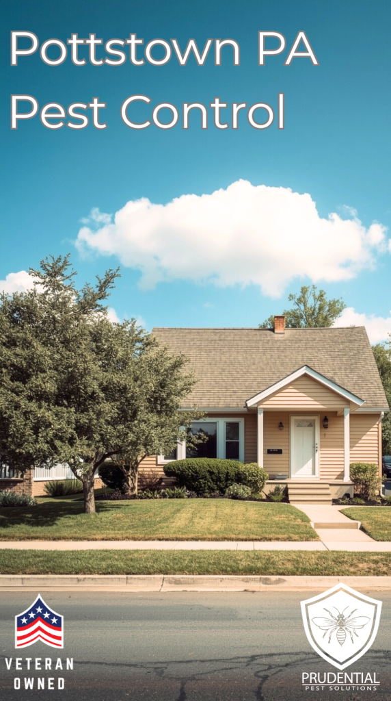 a house with Pottstown PA Pest Control