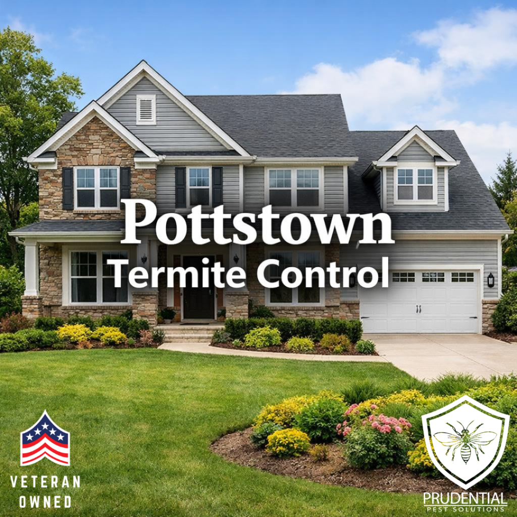 a house in Pottstown PA that says Pottstown Termite Control