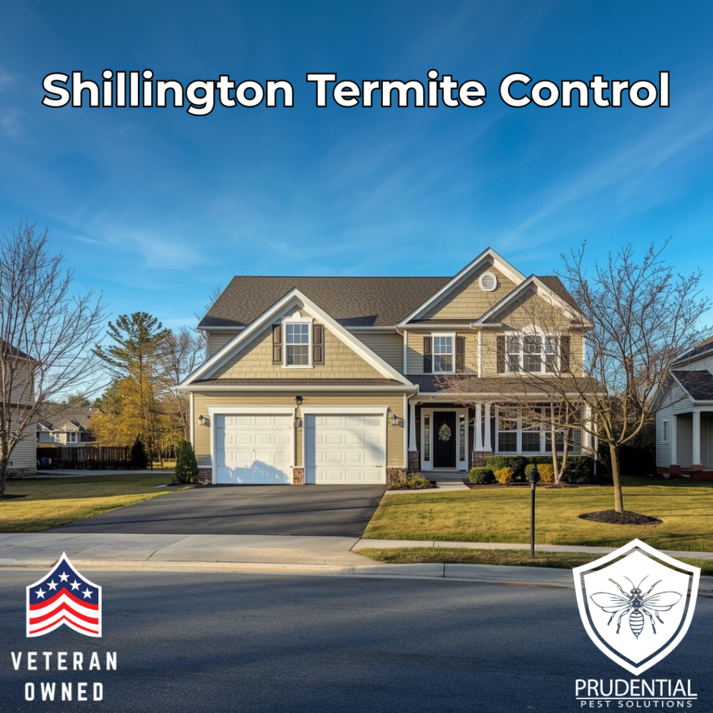 a home that is protected from termites in Shillington PA